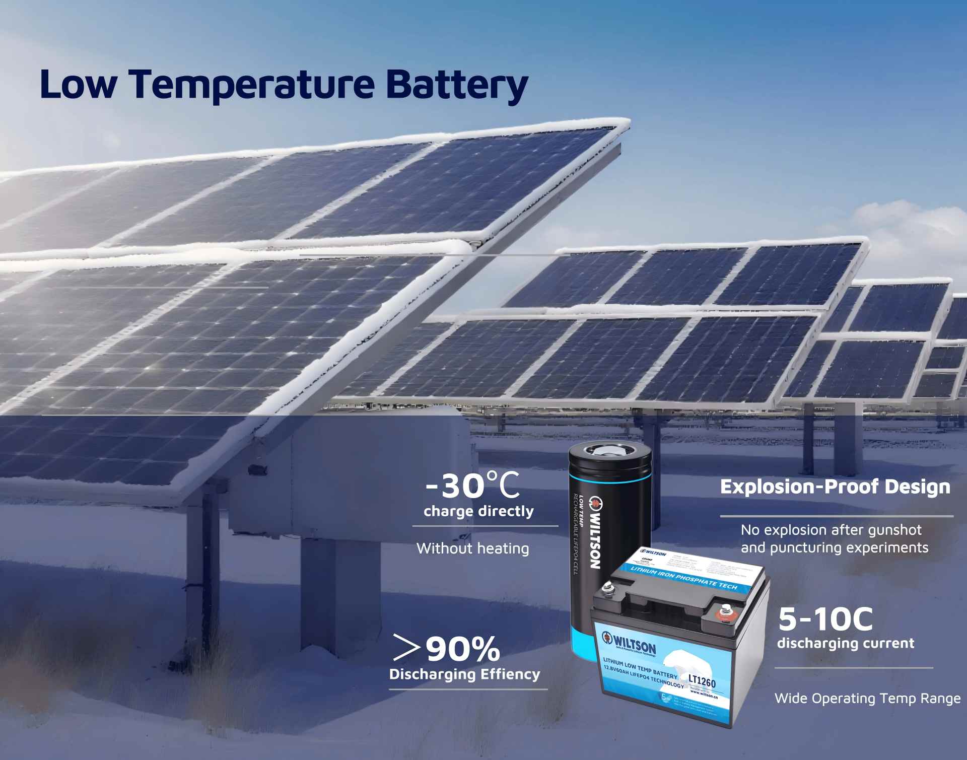 Wiltson Energy LT Battery Wiltson Energy Low Temperature Battery