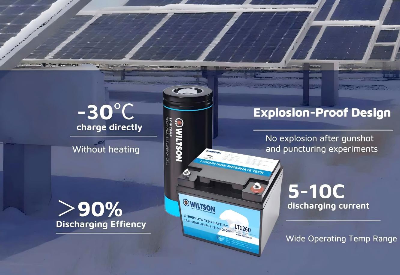 1756377065146792.jpg Wiltson Energy LT Battery (1)(1)1.jpg